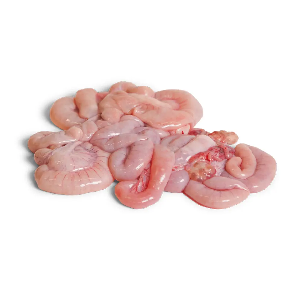 Pork Small Intestine